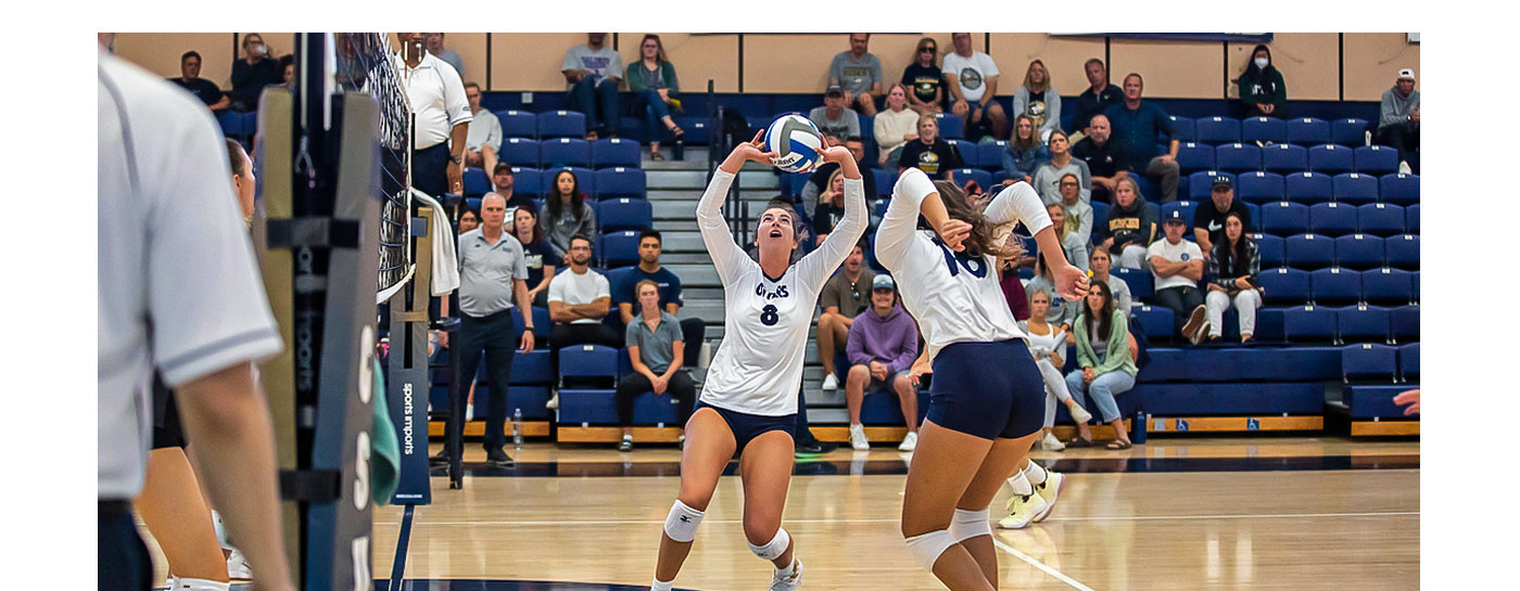Otter Volleyball Camps Image 1